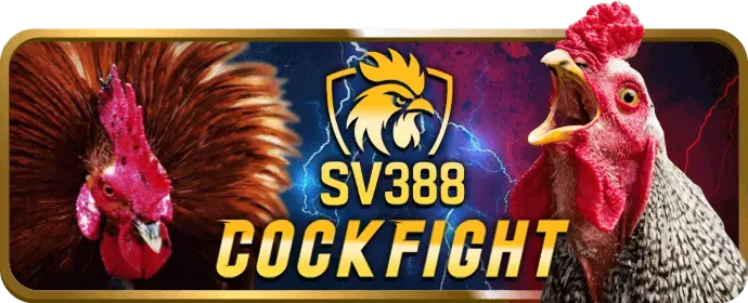 Chương trình VIP độc quyền vp777 win